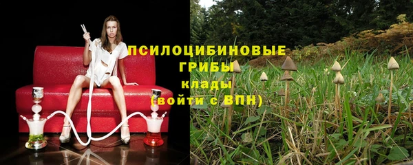 герыч Арсеньев