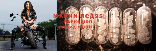 герыч Арсеньев